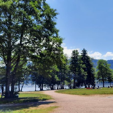 Le Chalet De La Chouille Xonrupt-Longemer Zewnętrze zdjęcie